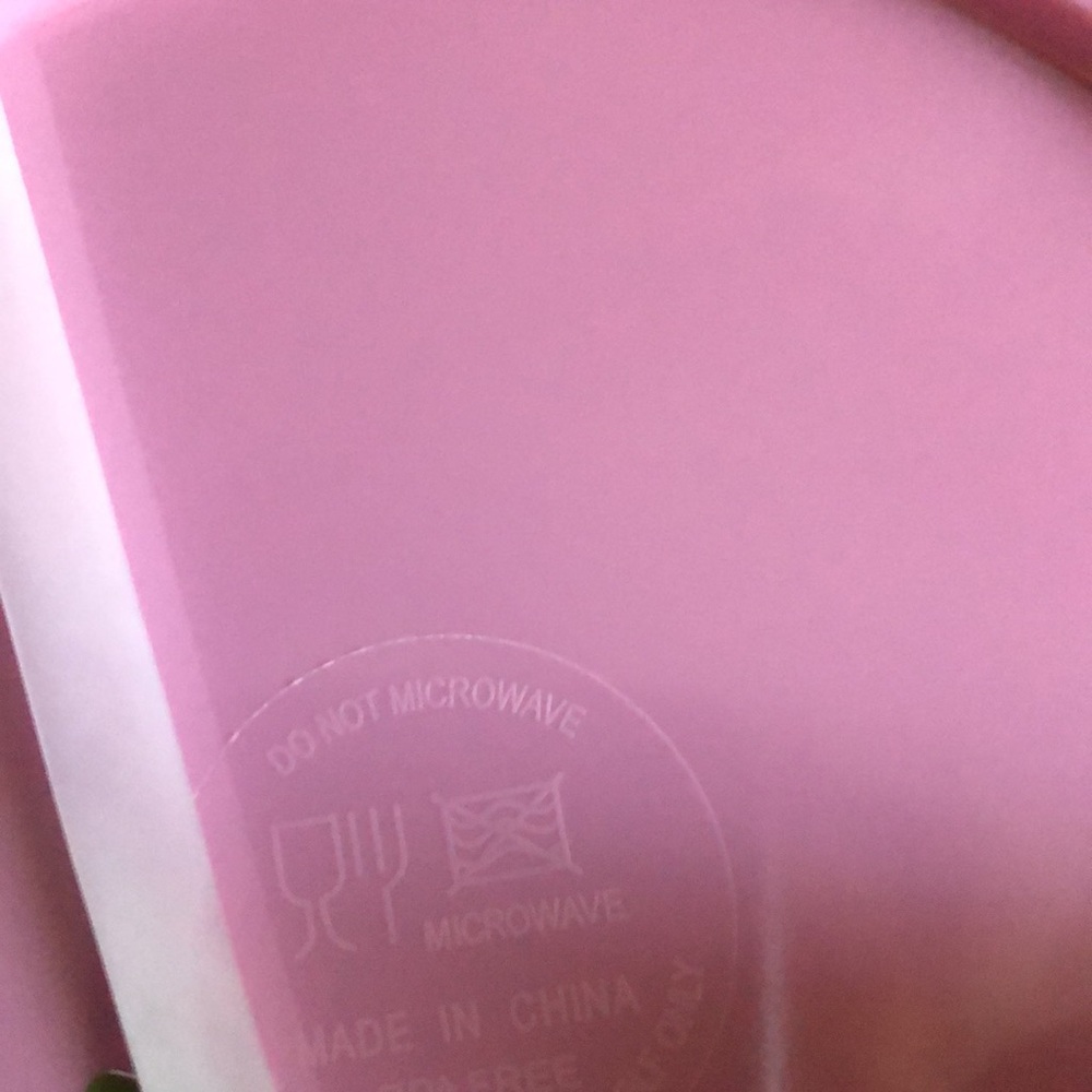 Paris Hilton Pink Floral Rose Melamine Plates - Picture 6 of 7